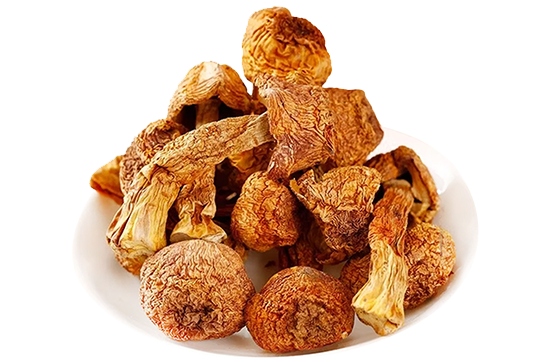 Dried Agaricus Blazei